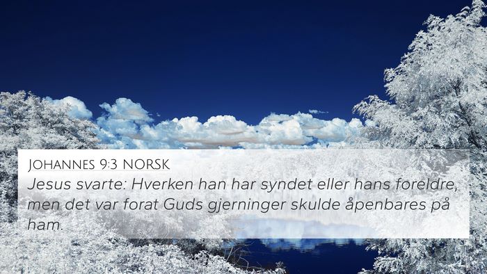 Johannes 9:3 NORSK Bible Verse Image
