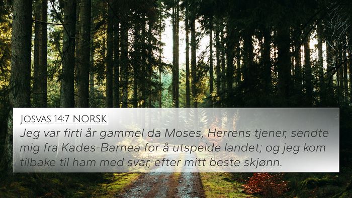 Josvas 14:7 NORSK 4K Wallpaper - Jeg var firti år gammel da Moses, Herrens - 4K Wallpaper Bible Verse