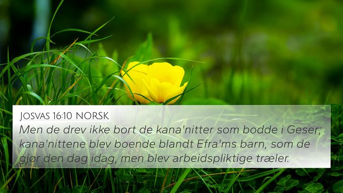 Josvas 16:10 NORSK Bible Verse Image