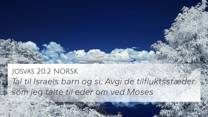 Josvas 20:2 NORSK Bible Verse Image