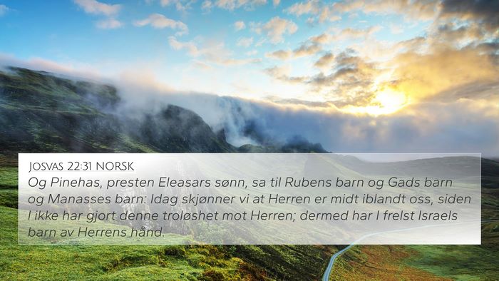 Josvas 22:31 NORSK Bible Verse Image
