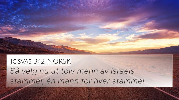 Josvas 3:12 NORSK Bible Verse Image
