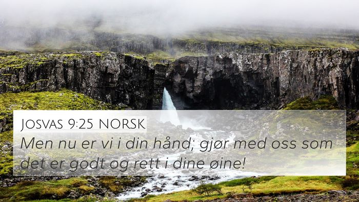 Josvas 9:25 NORSK Bible Verse Image