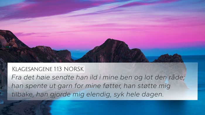 Klagesangene 1:13 NORSK 4K Wallpaper - Fra det høie sendte han ild i mine ben og lot - 4K Wallpaper Bible Verse