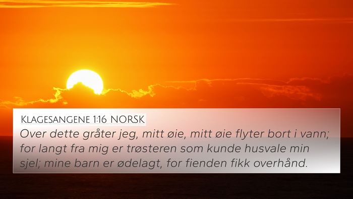 Klagesangene 1:16 NORSK Bible Verse Image
