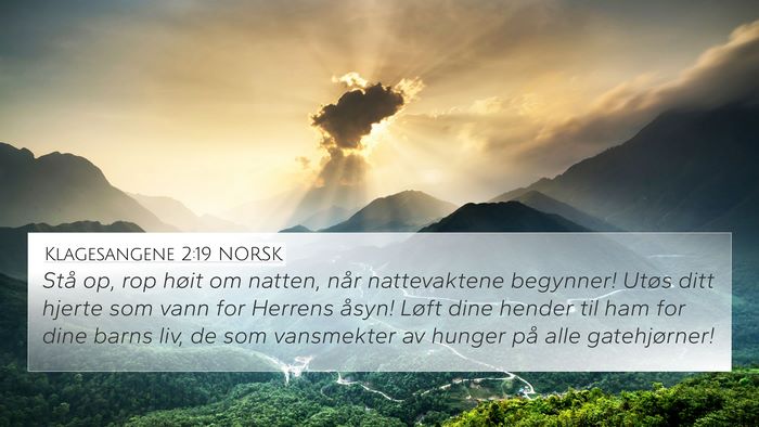 Klagesangene 2:19 NORSK Bible Verse Image