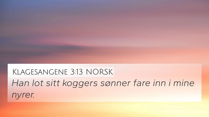 Klagesangene 3:13 NORSK 4K Wallpaper - Han lot sitt koggers sønner fare inn i mine - 4K Wallpaper Bible Verse