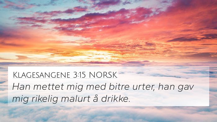 Klagesangene 3:15 NORSK Bible Verse Image