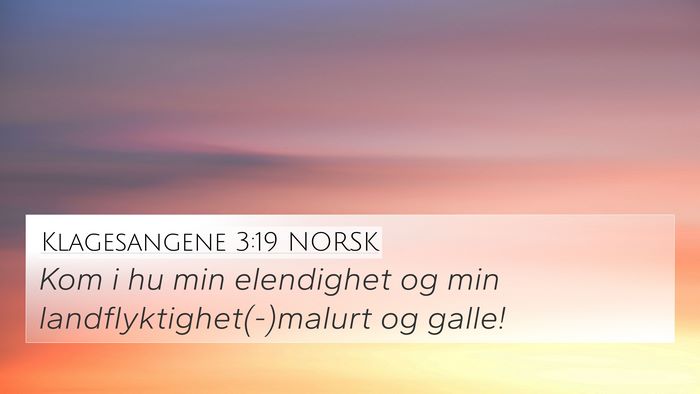 Klagesangene 3:19 NORSK Bible Verse Image