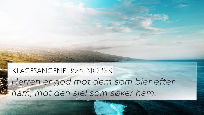 Klagesangene 3:25 NORSK Bible Verse Image