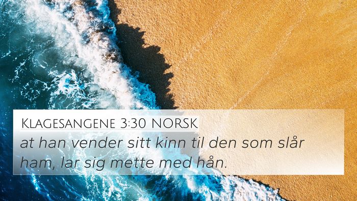 Klagesangene 3:30 NORSK Bible Verse Image