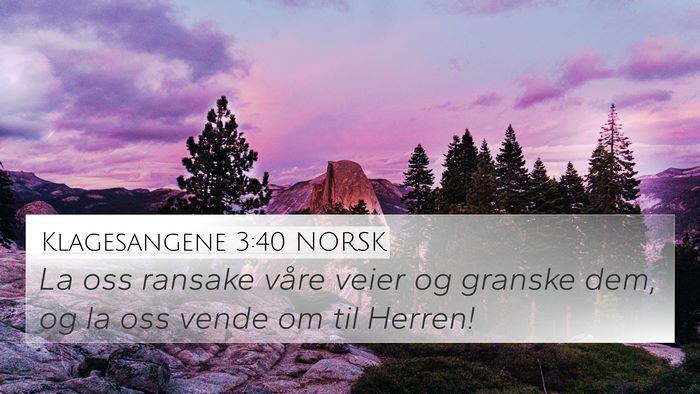 Klagesangene 3:40 NORSK Bible Verse Image