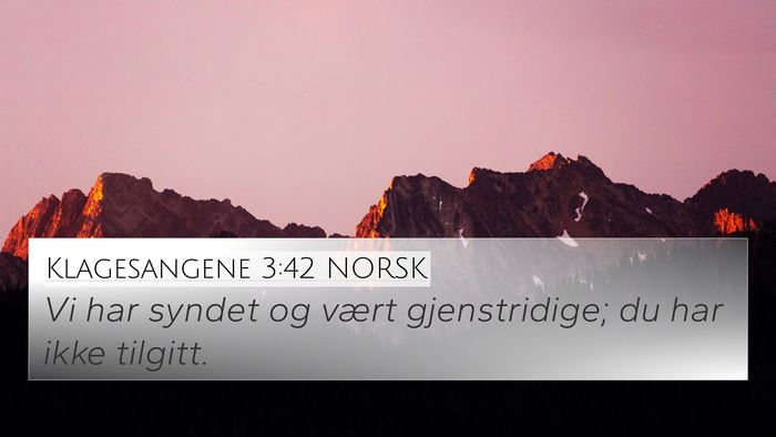 Klagesangene 3:42 NORSK Bible Verse Image