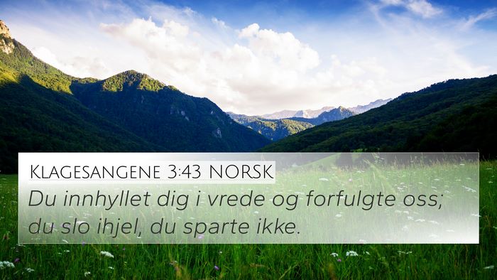 Klagesangene 3:43 NORSK Bible Verse Image