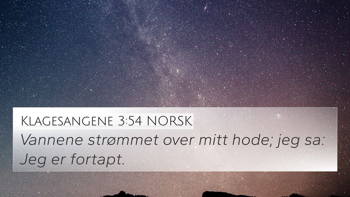 Klagesangene 3:54 NORSK Bible Verse Image