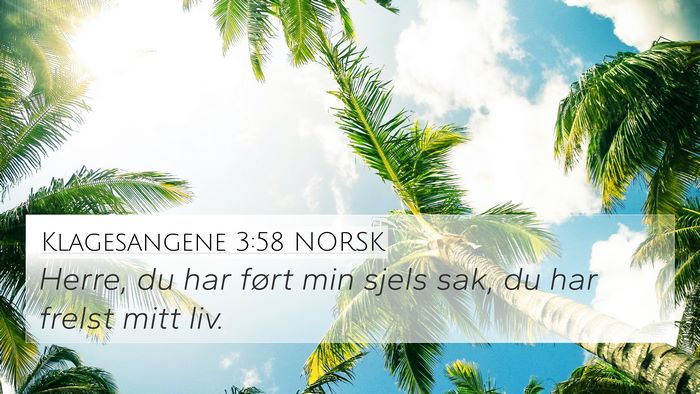 Klagesangene 3:58 NORSK Bible Verse Image