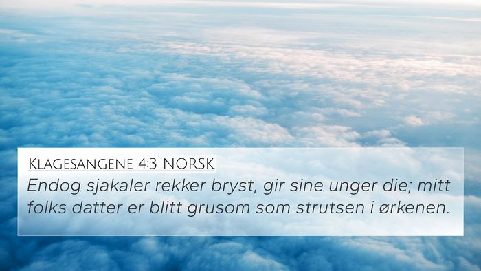 Klagesangene 4:3 NORSK Bible Verse Image