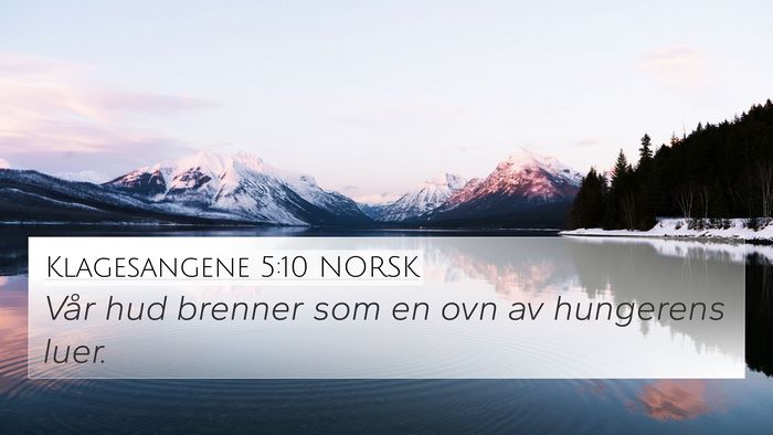 Klagesangene 5:10 NORSK Bible Verse Image