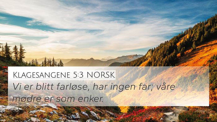 Klagesangene 5:3 NORSK Bible Verse Image