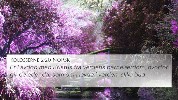 Kolosserne 2:20 NORSK Bible Verse Image