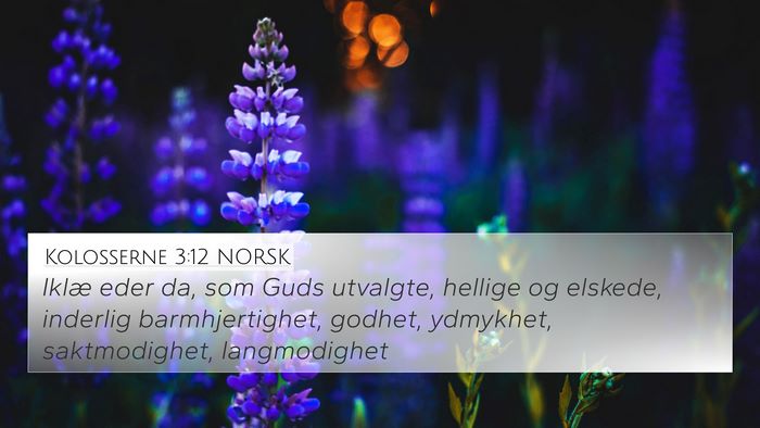 Kolosserne 3:12 NORSK Bible Verse Image