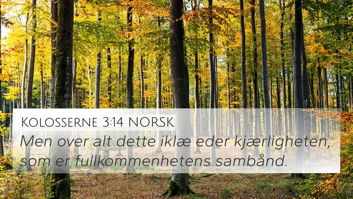 Kolosserne 3:14 NORSK Bible Verse Image