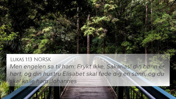 Lukas 1:13 NORSK Bible Verse Image