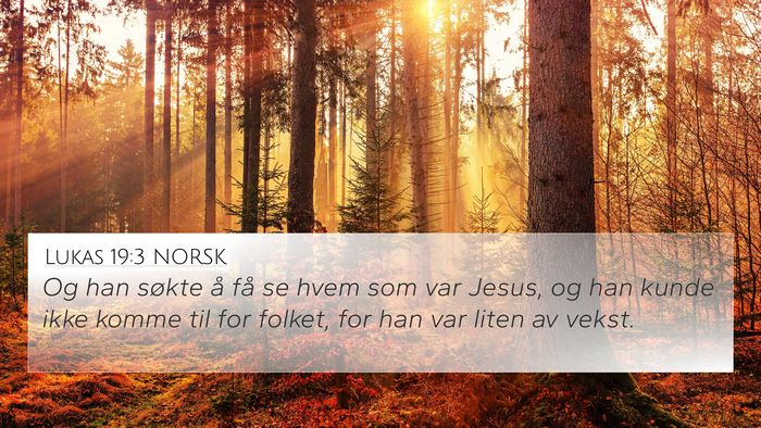 Lukas 19:3 NORSK Bible Verse Image