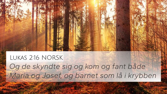 Lukas 2:16 NORSK Bible Verse Image