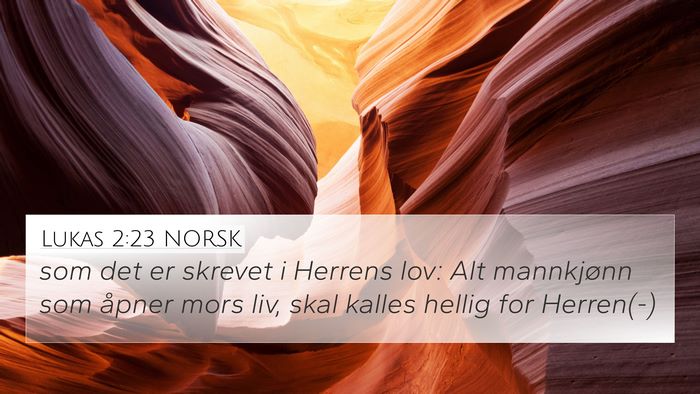 Lukas 2:23 NORSK Bible Verse Image