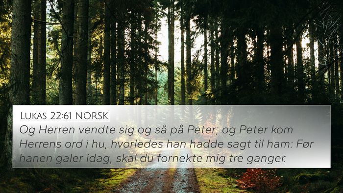 Lukas 22:61 NORSK Bible Verse Image
