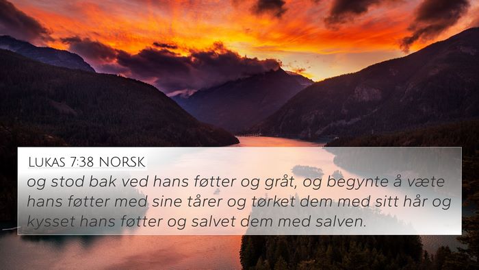 Lukas 7:38 NORSK 4K Wallpaper - og stod bak ved hans føtter og gråt, og begynte - 4K Wallpaper Bible Verse