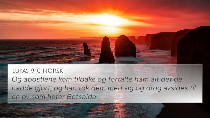 Lukas 9:10 NORSK Bible Verse Image