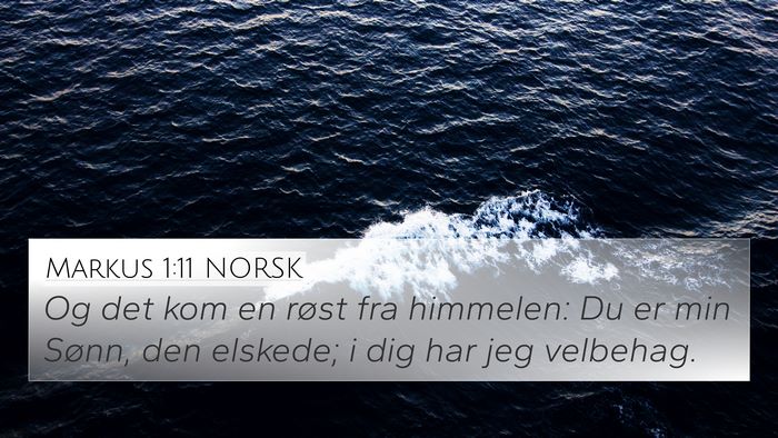 Markus 1:11 NORSK Bible Verse Image