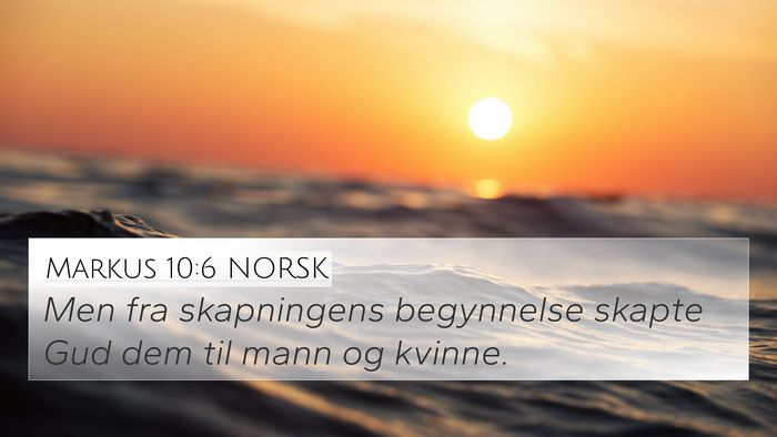 Markus 10:6 NORSK Bible Verse Image