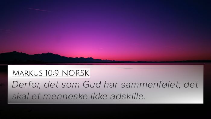 Markus 10:9 NORSK 4K Wallpaper - Derfor, det som Gud har sammenføiet, det skal et - 4K Wallpaper Bible Verse