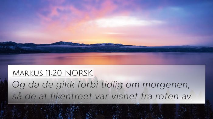 Markus 11:20 NORSK Bible Verse Image