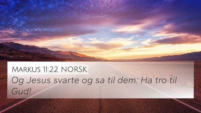 Markus 11:22 NORSK Bible Verse Image