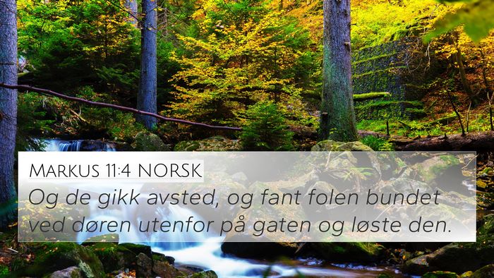 Markus 11:4 NORSK Bible Verse Image
