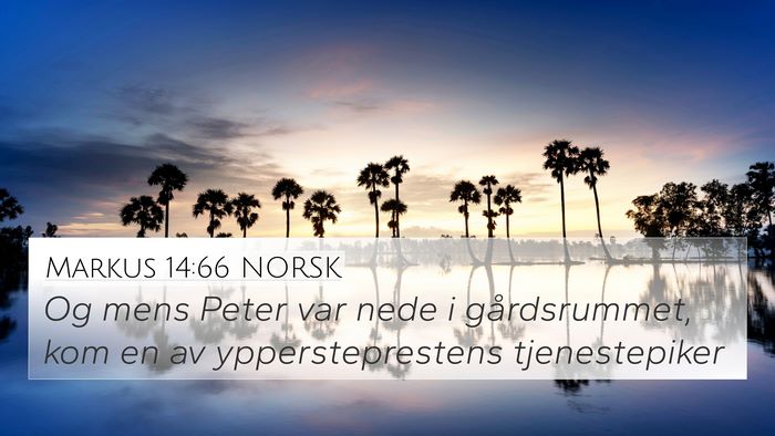 Markus 14:66 NORSK Bible Verse Image