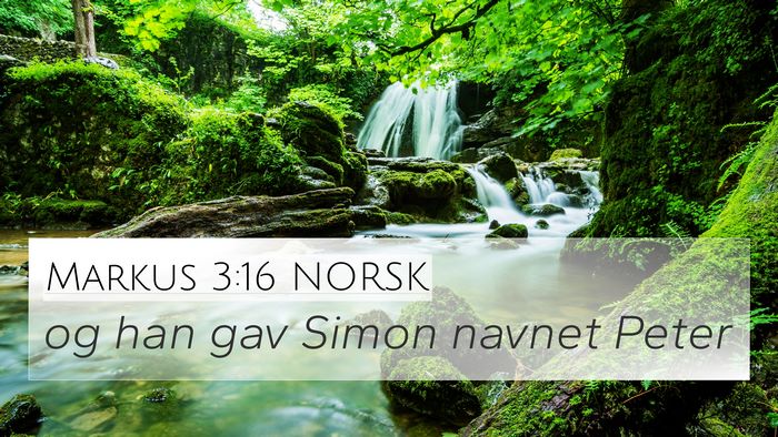 Markus 3:16 NORSK Bible Verse Image