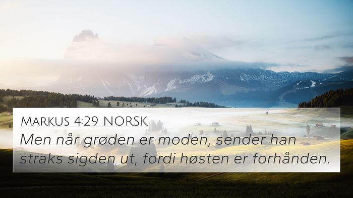 Markus 4:29 NORSK 4K Wallpaper - Men når grøden er moden, sender han straks - 4K Wallpaper Bible Verse