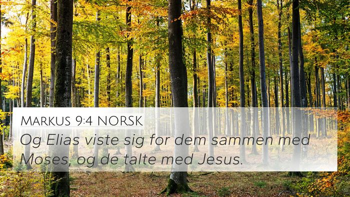 Markus 9:4 NORSK Bible Verse Image