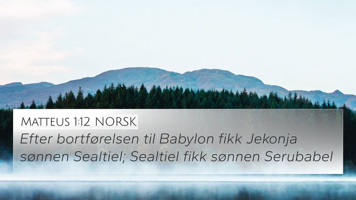 Matteus 1:12 NORSK Bible Verse Image