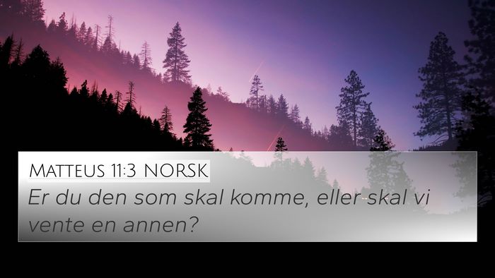 Matteus 11:3 NORSK 4K Wallpaper - Er du den som skal komme, eller skal vi vente en - 4K Wallpaper Bible Verse
