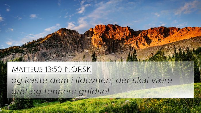 Matteus 13:50 NORSK Bible Verse Image