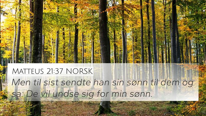 Matteus 21:37 NORSK Bible Verse Image