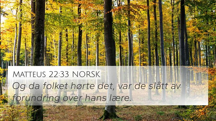 Matteus 22:33 NORSK Bible Verse Image