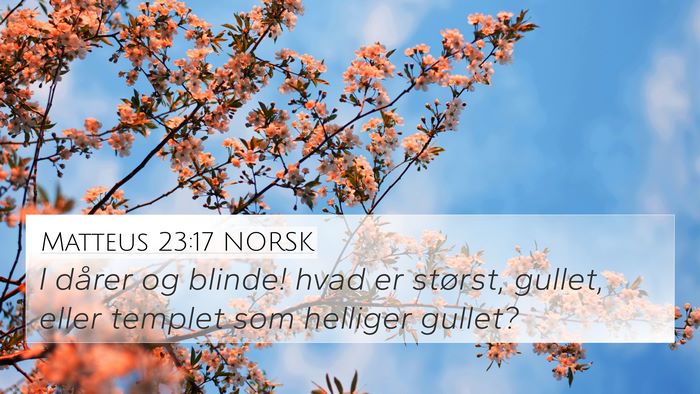 Matteus 23:17 NORSK Bible Verse Image