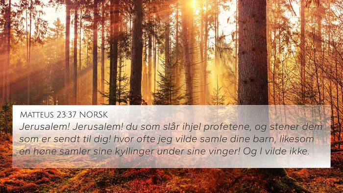 Matteus 23:37 NORSK Bible Verse Image